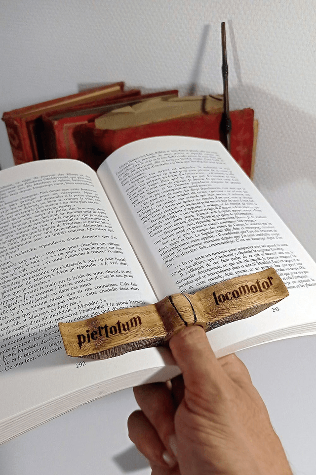bague de lecture en bois vif d'or sur le thème Harry Potter -  par l'Artelier de julien